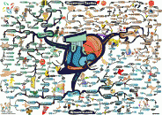 thumbs basketball coaching movement tactics mind map Adam Sicinski