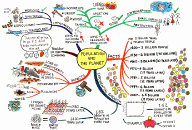 Population and the Planet Mind Map by Jane Genovese