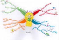 THE WOOL MIND MAP
