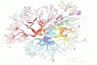 Program in Financial Management Mind Map by Marion Charreau