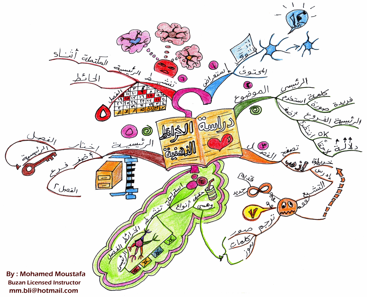 Mohamed Moustafa Mind Maps  Mind Map Art