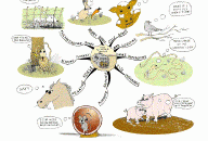 Few animals moan Mind Map by Paul Foreman