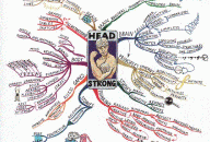 Head Strong Overview Mind Map by Tony Buzan