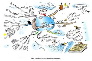 Bird Facts Mind Map by Paul Foreman Bird Facts Mind Map by Paul Foreman