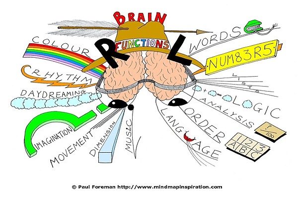 brain functions mind map paul foreman Brain Functions