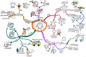 Human Biology Nervous System Mind Map by Jane Genovese