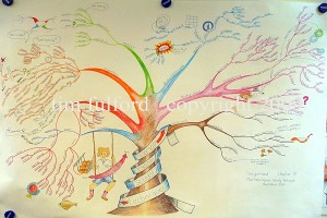 MMOST Study Mind Map by Tim Fulford