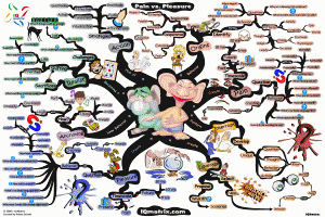 Pain vs Pleasure Principle Mind Map by Adam Sicinski