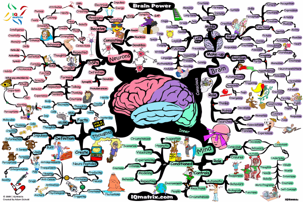 Brain Power Mind Map  Mind Map Art
