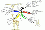 Olympic Animals Mind Map